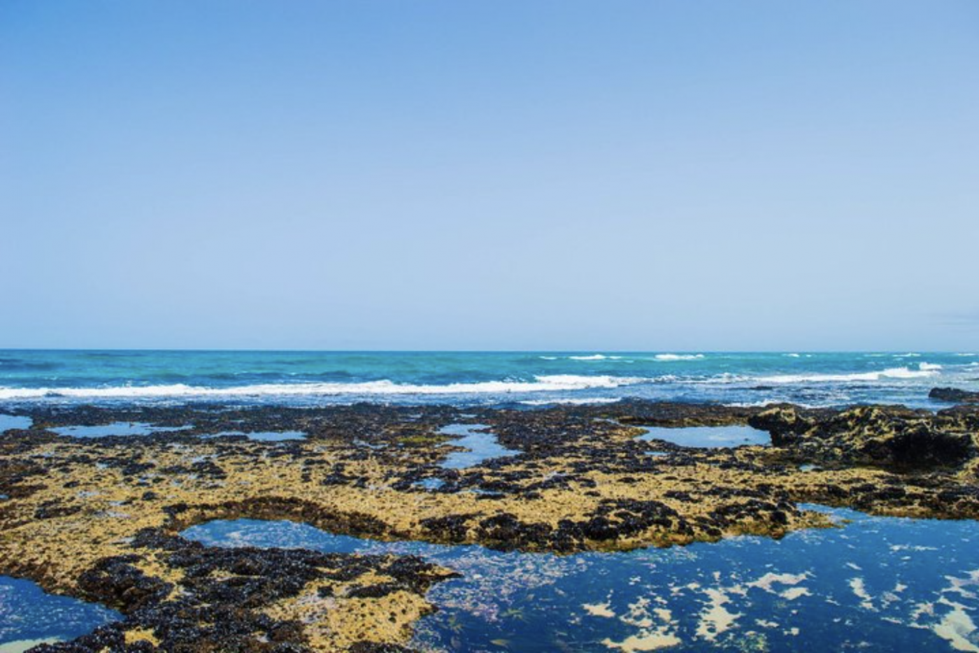 1 jr d'excursion privée à Oualidia au départ de Rabat