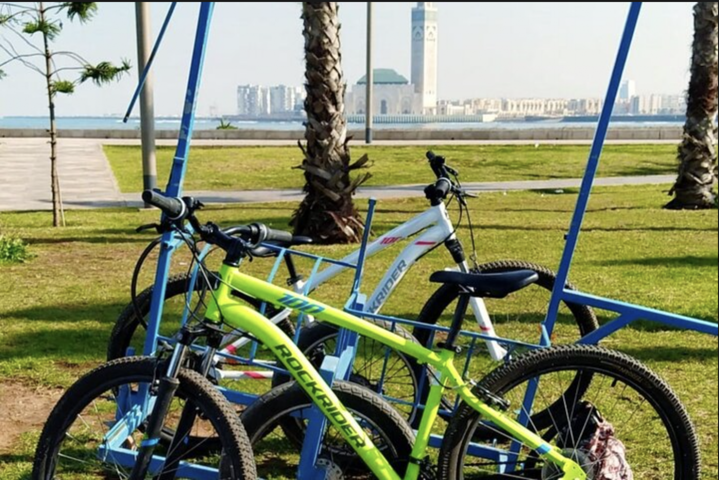 Explorez le cœur de Casablanca lors d'une visite guidée à vélo